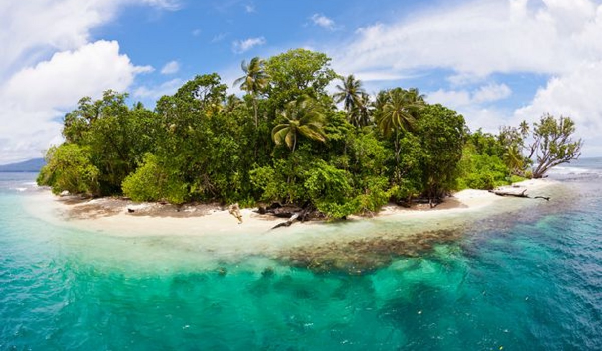 Castaways adrift in the Pacific survive 29 days by eating coconuts floating past